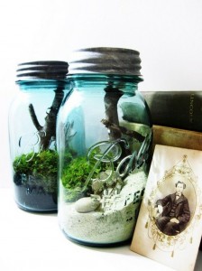 Terrarium ideas