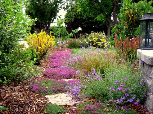 Mediterranean Garden by Gardens by Gabriel.