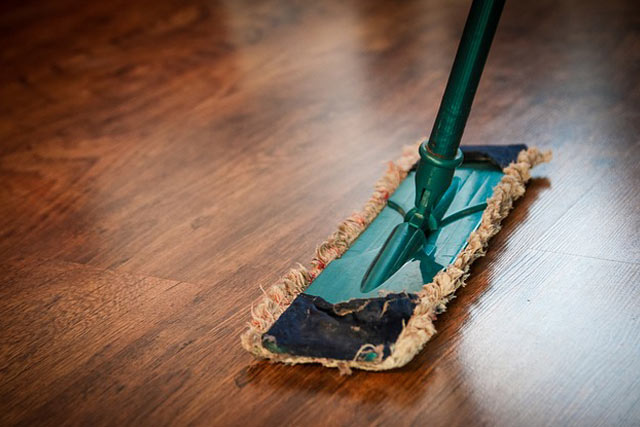 Interior Cleaner