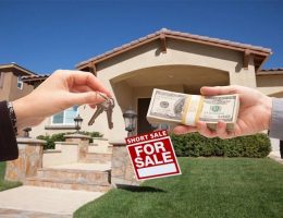 Stewardship Properties