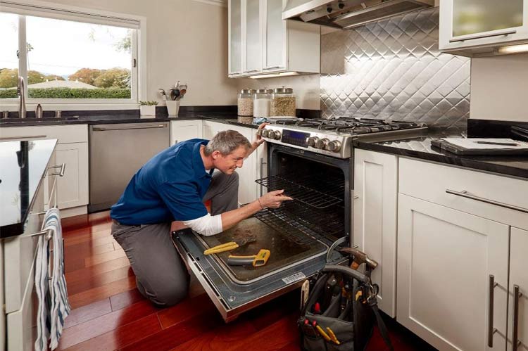 repair the kitchen appliance