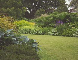 Garden Looking Great