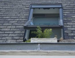 roof windows