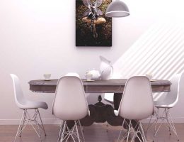 improve-the-health-of-your-home