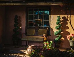 benefits-of-plants-outside-your-home