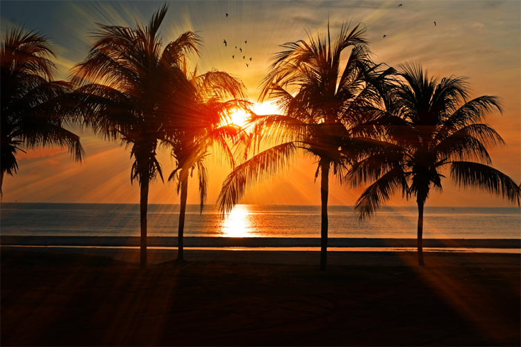 Sunshine-State-in-Modern-Ti